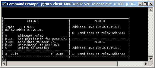 pjturn_client.jpg